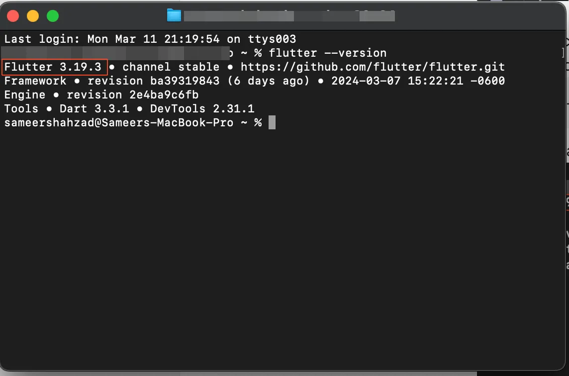 Вывод команды flutter --version