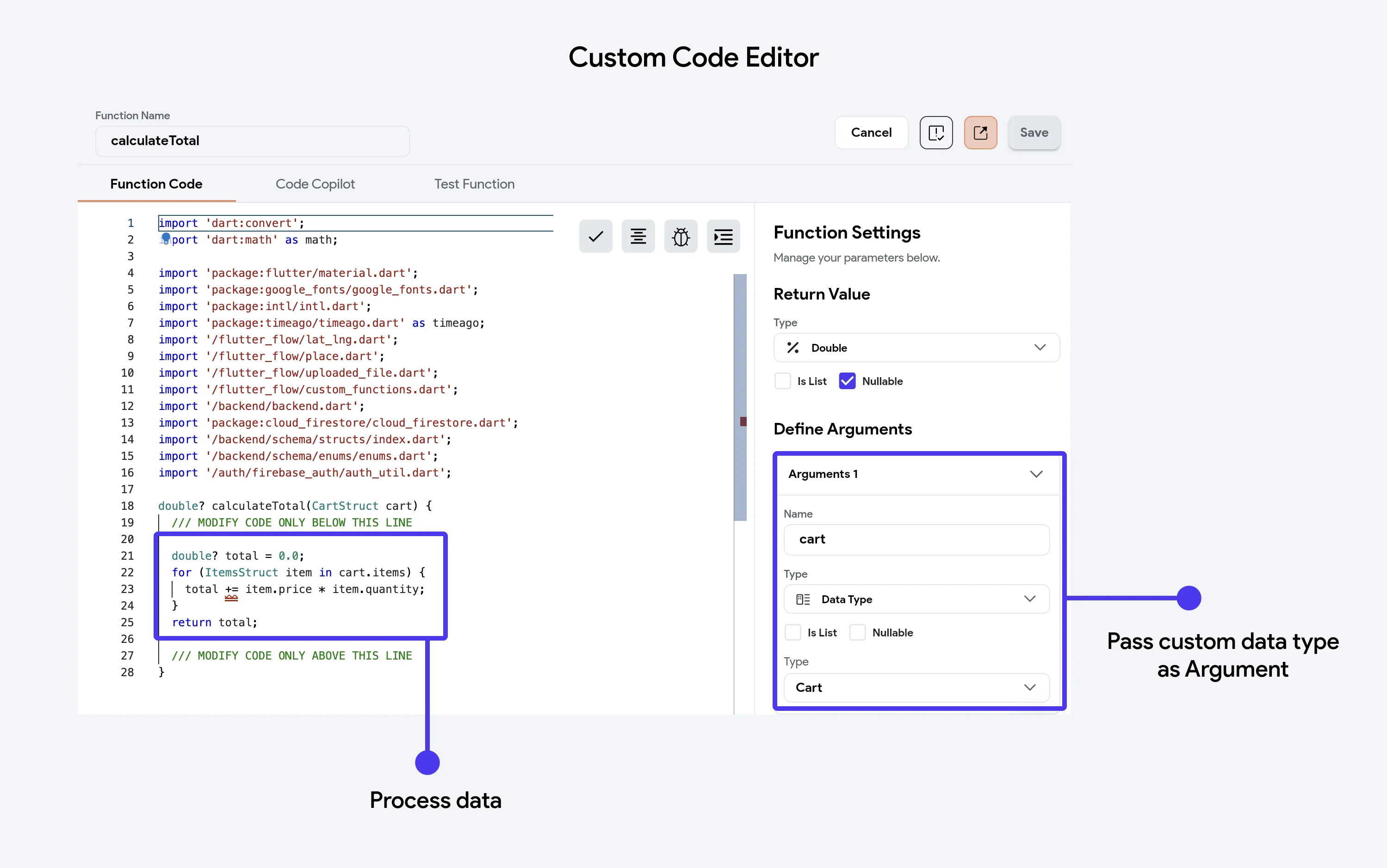 custom-data-in-custom-code.avif