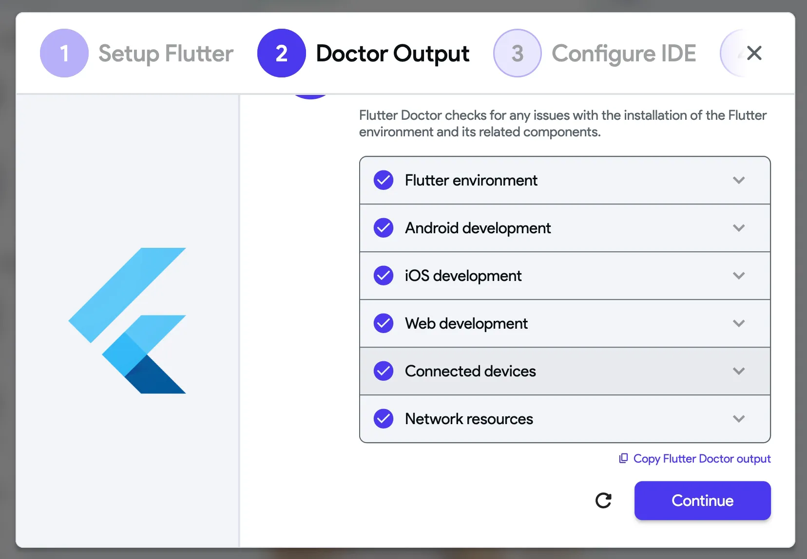 Вывод команды flutter doctor в мастере настройки